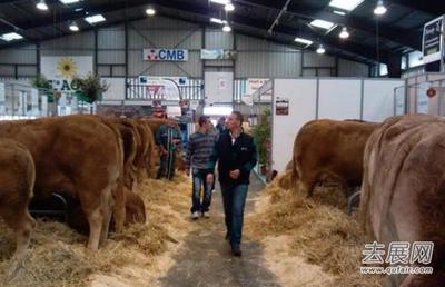 哈薩克斯坦畜牧展七月啟幕 聚焦光禽屠宰與生產高效化